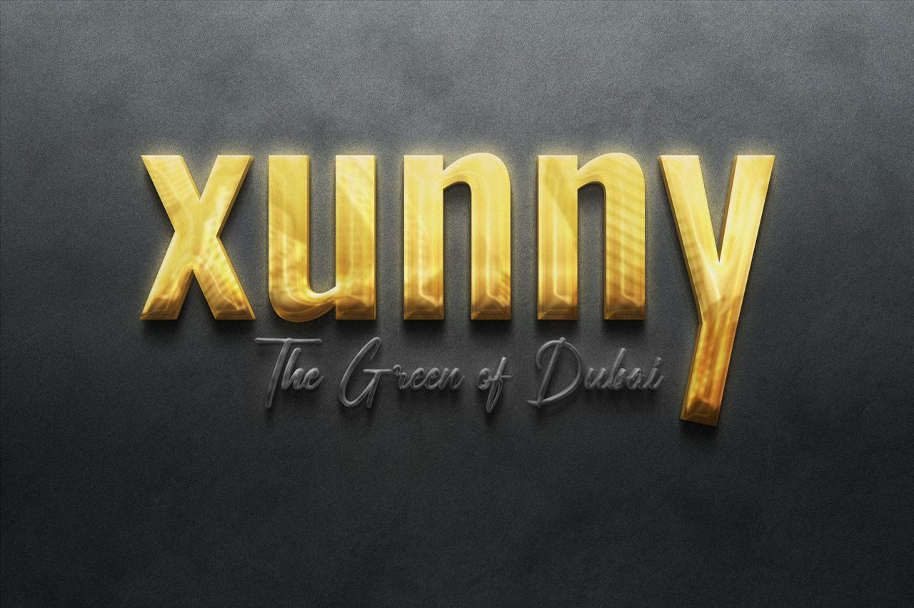 Xunny Logo